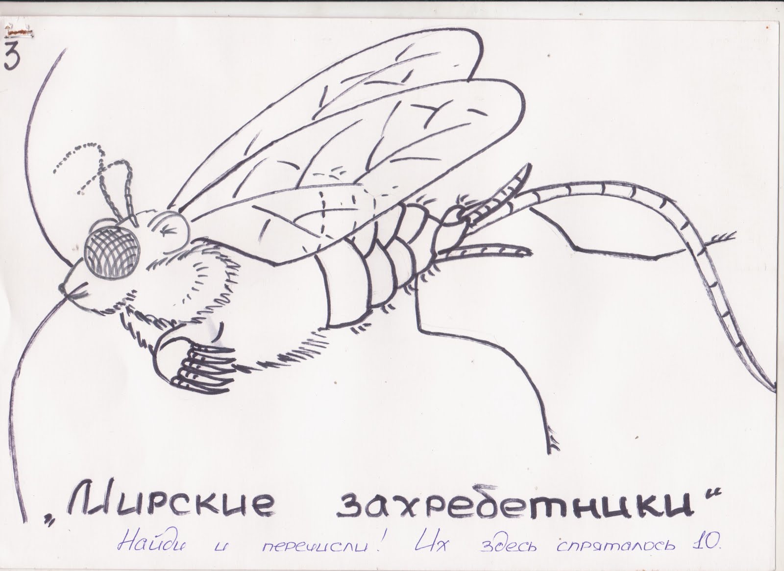 Синантропное животное рисунок